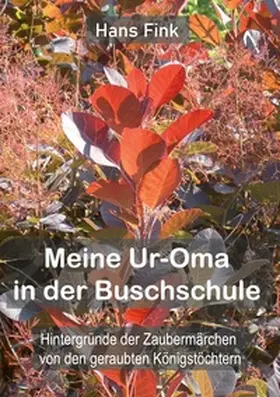 Fink |  Meine Ur-Oma in der Buschschule | Buch |  Sack Fachmedien