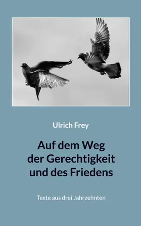 Frey / Orth |  Auf dem Weg der Gerechtigkeit und des Friedens | eBook | Sack Fachmedien