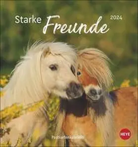  Pferde - Starke Freunde Postkartenkalender 2024. Pferdefotografin Sabine Stuewer setzt die edlen Tiere in einem kleinen Kalender perfekt in Szene. Hochwertiger Postkarten-Fotokalender. | Sonstiges |  Sack Fachmedien