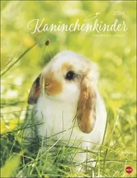  Kaninchenkinder Posterkalender 2024 von Monika Wegler. Ein bezaubernder Tierkalender mit süßen Fotos. Dekorativer Kalender für Tierfreunde. Hochformat 34 x 44 cm. | Sonstiges |  Sack Fachmedien
