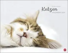  Katzenkalender 2024. Wandkalender mit 12 traumhaft schönen Fotos der renommierten Fotografin Monika Wegler. Tierkalender 2024. Querformat 44x34 cm. | Sonstiges |  Sack Fachmedien