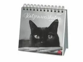  Wegler Katzen Weisheiten Premium-Postkartenkalender 2024. 53 Postkarten mit zauberhaften Katzenfotos und Zitaten in einem kleinen Kalender für Katzenfans. Zum Aufstellen. | Sonstiges |  Sack Fachmedien