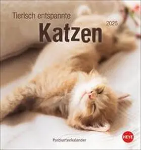 Tierisch entspannte Katzen Postkartenkalender 2025 | Sonstiges |  Sack Fachmedien