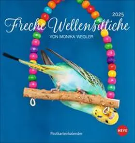  Freche Wellensittiche Postkartenkalender 2025 | Sonstiges |  Sack Fachmedien