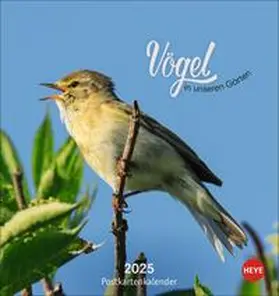  Vögel in unseren Gärten Postkartenkalender 2025 | Sonstiges |  Sack Fachmedien