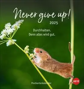  Never give up! Postkartenkalender 2025 | Sonstiges |  Sack Fachmedien
