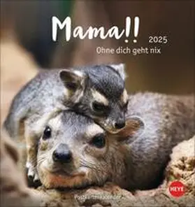  Mama! Postkartenkalender 2025 - Ohne dich geht nix! | Sonstiges |  Sack Fachmedien