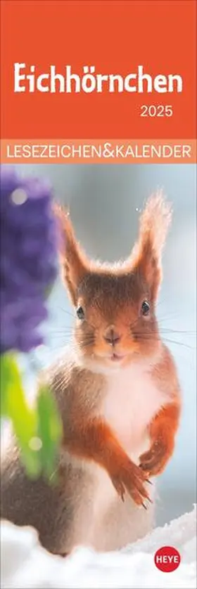  Eichhörnchen Lesezeichen & Kalender 2025 | Sonstiges |  Sack Fachmedien