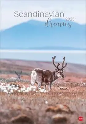  Scandinavian Dreams Posterkalender 2025 | Sonstiges |  Sack Fachmedien