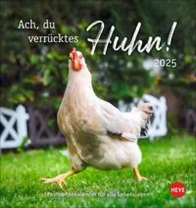  Hühner Postkartenkalender 2025 - Ach, du verrücktes Huhn! | Sonstiges |  Sack Fachmedien