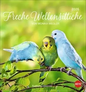  Freche Wellensittiche Postkartenkalender 2026 | Sonstiges |  Sack Fachmedien