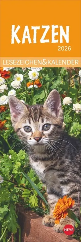  Katzen Lesezeichen & Kalender 2026 | Sonstiges |  Sack Fachmedien