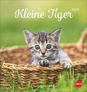 Heye |  Katzen Postkartenkalender Kleine Tiger 2026 | Sonstiges |  Sack Fachmedien