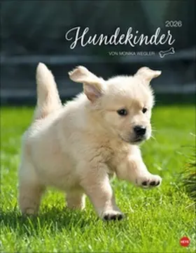  Hundekinder Posterkalender 2026 | Sonstiges |  Sack Fachmedien