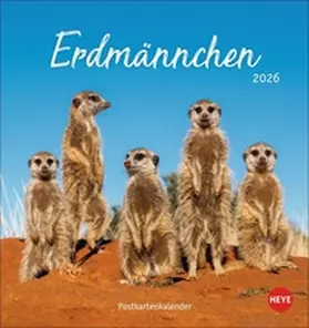 Heye |  Erdmännchen Postkartenkalender 2026 | Sonstiges |  Sack Fachmedien