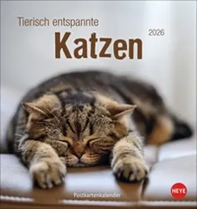  Tierisch entspannte Katzen Postkartenkalender 2026 | Sonstiges |  Sack Fachmedien