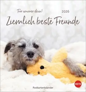 Heye |  Ziemlich beste Freunde Postkartenkalender 2026 - Für immer dein | Sonstiges |  Sack Fachmedien
