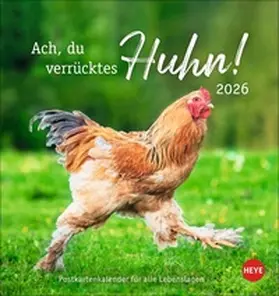  Hühner Postkartenkalender 2026 - Ach, du verrücktes Huhn! | Sonstiges |  Sack Fachmedien