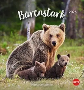  Bärenstark Postkartenkalender 2026 | Sonstiges |  Sack Fachmedien