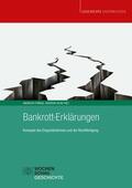 Ochs / Frings |  Bankrott-Erklärungen | eBook | Sack Fachmedien