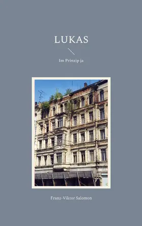 Salomon |  Lukas | eBook | Sack Fachmedien