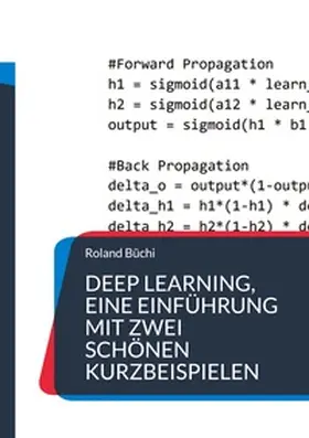 Büchi |  Deep Learning, eine Einführung mit zwei schönen Kurzbeispielen | Buch |  Sack Fachmedien