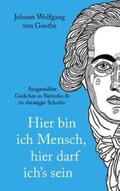 von Goethe / Schulte |  Johann Wolfgang von Goethe | Buch |  Sack Fachmedien