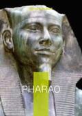 Schubert |  Pharao | Buch |  Sack Fachmedien