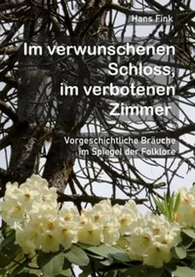 Fink |  Im verwunschenen Schloss, im verbotenen Zimmer | Buch |  Sack Fachmedien