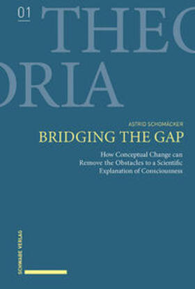 Schomäcker | Bridging the Gap | Buch | 978-3-7574-0037-8 | sack.de