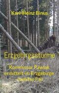 Binus |  Erzgebirgsstürme | Buch |  Sack Fachmedien