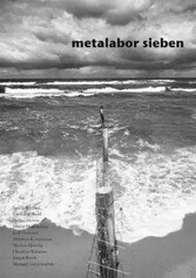 Eberhard / Heinze / Henriksson |  metalabor sieben | eBook | Sack Fachmedien