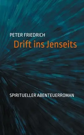 Friedrich |  Drift ins Jenseits | Buch |  Sack Fachmedien