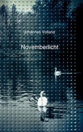 Volland |  Novemberlicht | Buch |  Sack Fachmedien