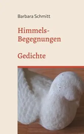 Schmitt |  Himmels-Begegnungen | eBook | Sack Fachmedien