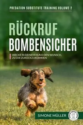 Müller |  Rückruf Bombensicher | eBook | Sack Fachmedien