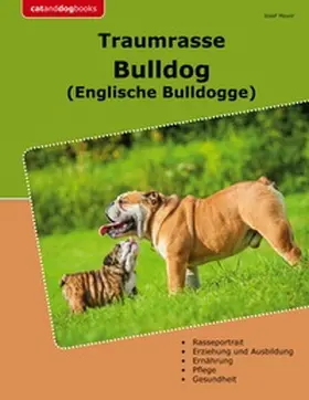 Meyer |  Traumrasse Bulldog | Buch |  Sack Fachmedien