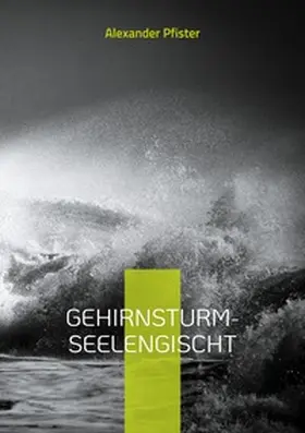 Pfister |  Gehirnsturm | Buch |  Sack Fachmedien