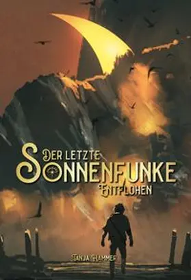 Hammer |  Der letzte Sonnenfunke | Buch |  Sack Fachmedien