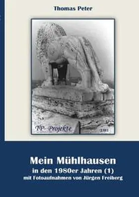 Peter |  Mein Mühlhausen in den 1980er Jahren / Mein Mühlhausen in den 1980er Jahren (1) | Buch |  Sack Fachmedien