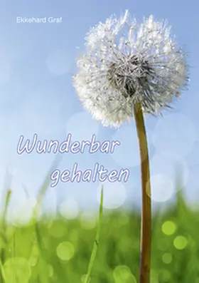 Graf |  Wunderbar gehalten | Buch |  Sack Fachmedien