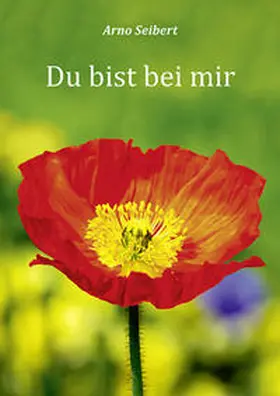 Seibert |  Du bist bei mir | Buch |  Sack Fachmedien