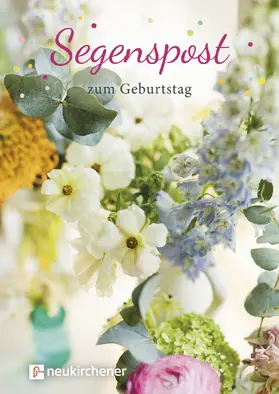 Schubert |  Segenspost zum Geburtstag | Buch |  Sack Fachmedien