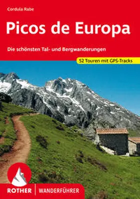 Rabe |  Picos de Europa | Buch |  Sack Fachmedien