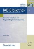 Dauth |  Industrial Structure and Regional Employment Dynamics | Buch |  Sack Fachmedien