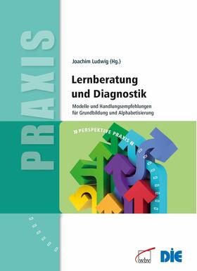 Ludwig | Lernberatung und Diagnostik | E-Book | sack.de