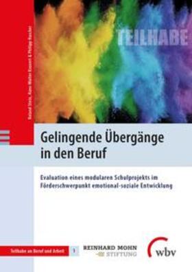 Stein / Kranert / Hascher |  Gelingende Übergänge in den Beruf | Buch |  Sack Fachmedien