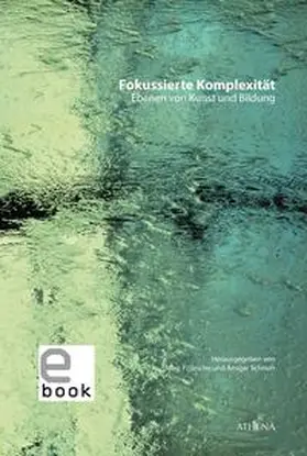 Schnurr / Fritzsche |  Fokussierte Komplexität | eBook | Sack Fachmedien