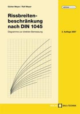 Meyer |  Rissbreitenbeschränkung nach DIN 1045 | Buch |  Sack Fachmedien