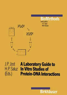 Jost / Saluz |  A Laboratory Guide to In Vitro Studies of Protein-DNA Interactions | Buch |  Sack Fachmedien